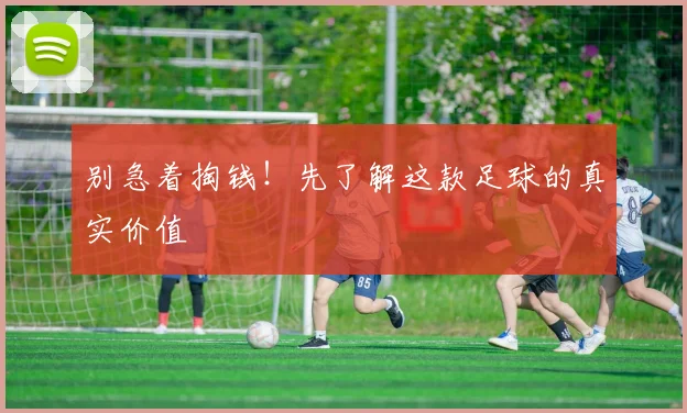 别急着掏钱！先了解这款足球的真实价值