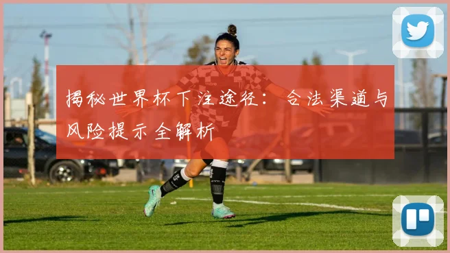 揭秘世界杯下注途径：合法渠道与风险提示全解析