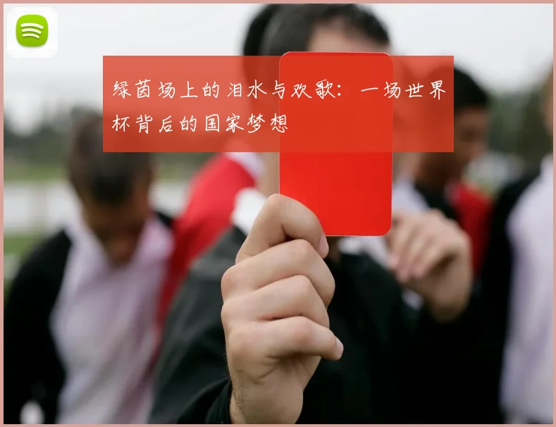 绿茵场上的泪水与欢歌：一场世界杯背后的国家梦想