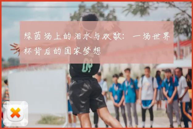 绿茵场上的泪水与欢歌：一场世界杯背后的国家梦想