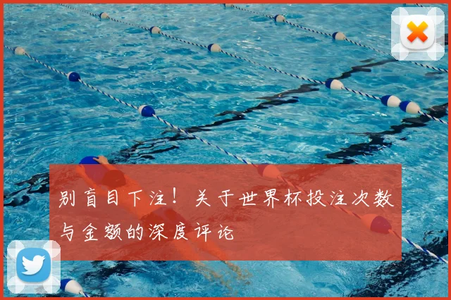 别盲目下注！关于世界杯投注次数与金额的深度评论