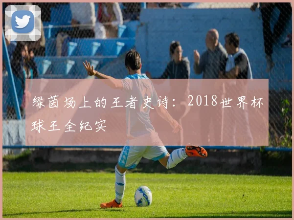 绿茵场上的王者史诗：2018世界杯球王全纪实