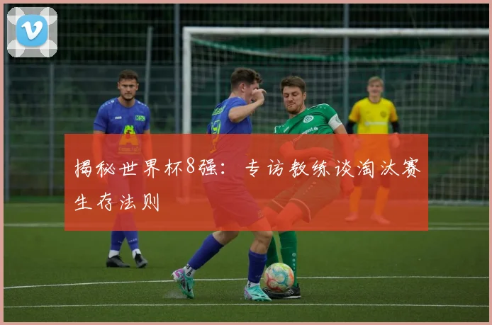 揭秘世界杯8强：专访教练谈淘汰赛生存法则
