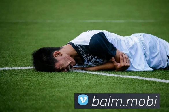 开云手机入口登录官网平台生态图