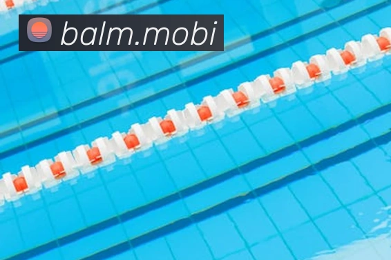 开云手机入口登录官网全站App 开云手机入口登录官网全站App